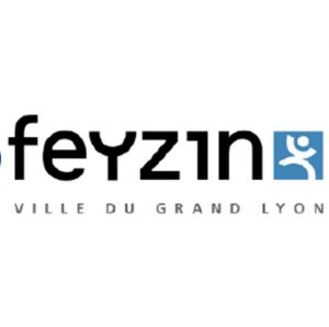 Feyzin
